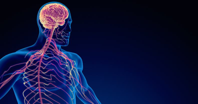 Are You Really Choosing—or Is Your Nervous System Deciding for You?